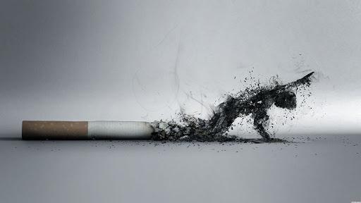 Nicotine khiến người hút thuốc lá lệ thuộc vào chúng